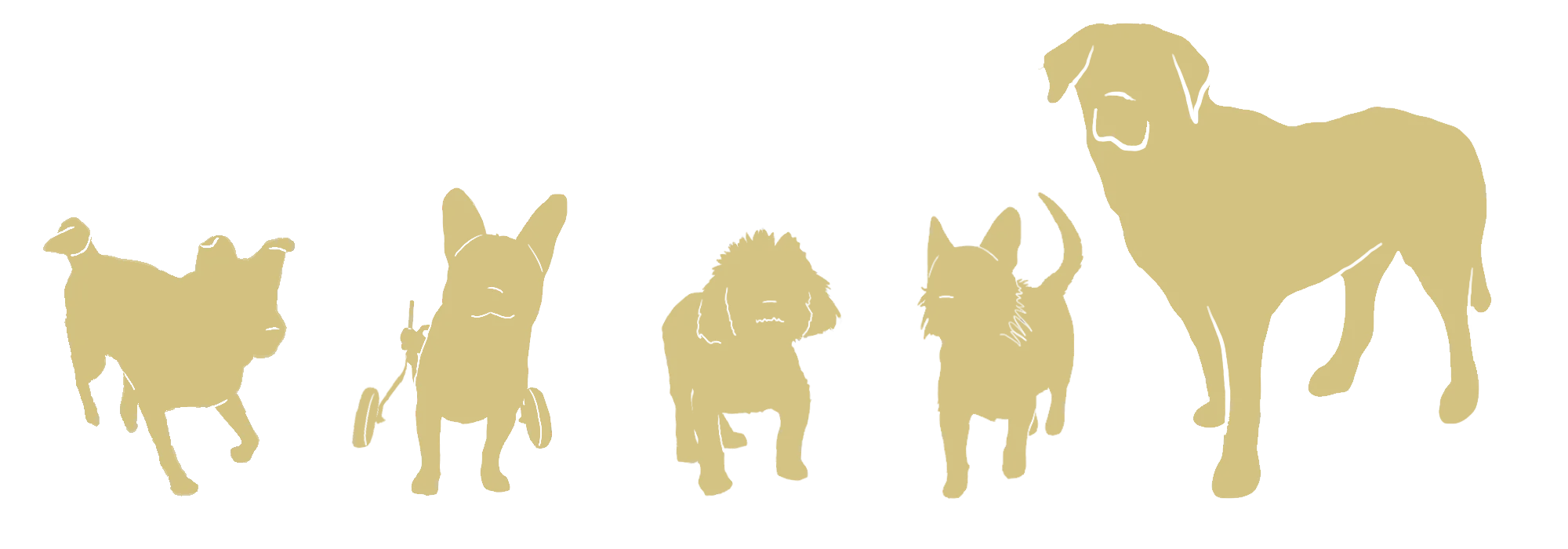 The Grateful Dog LA banner